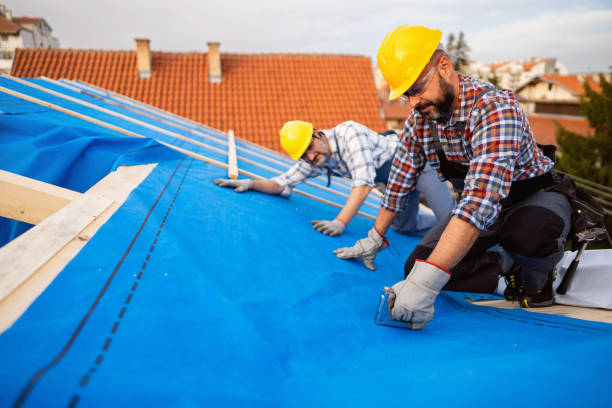 Best New Roof Installation  in Cartersville, GA